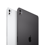 iPad Pro 11" Chip M4 Wi-Fi 256GB Plata