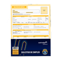 Block Solicitud De Empleo 40 Hojas