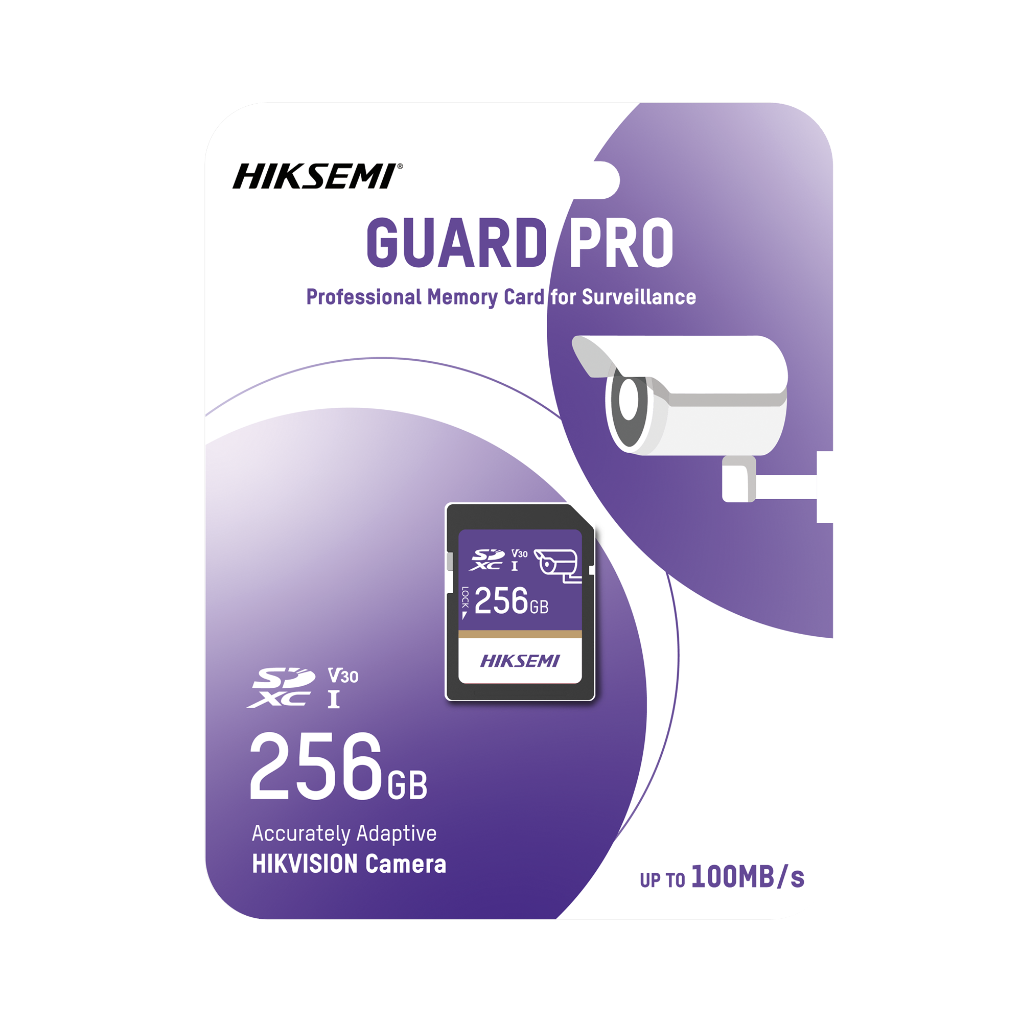 Memoria SD Clase 10 256GB Videovigilancia