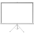 Pantalla Proyección Tripié Qian QPD 69602 100 Pulgadas Blanca Mate