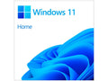 Windows 11 Hogar 64 Bits OEM Lenguaje Español (Para Equipos Nuevos)