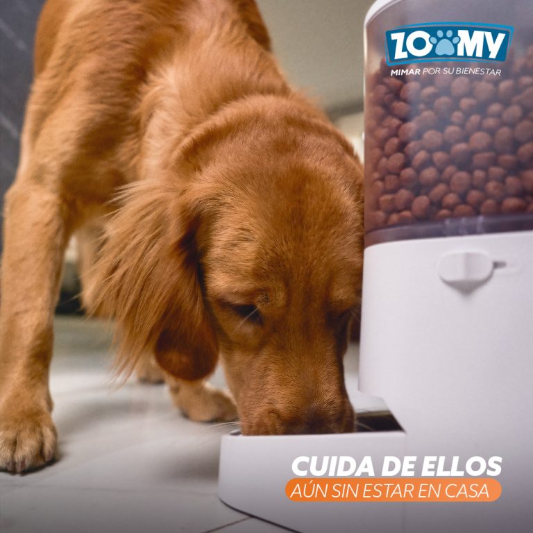 Comedero Inteligente para Mascotas 6L Control por App Plato de Acero Inoxidable
