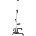 Soporte Movil para TV 60-100 Pulgadas Stand Ruedas Altura Ajustable StarTech STNDMTV100