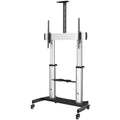 Soporte Movil para TV 60-100 Pulgadas Stand Ruedas Altura Ajustable StarTech STNDMTV100