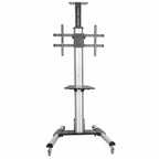 Carro de Transporte para TV 32" a 75" Startech - Ajuste de Un Toque - Mod. STNDMTV70